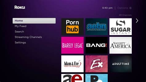 roku porn apps|How to Watch Porn on Roku In 2024